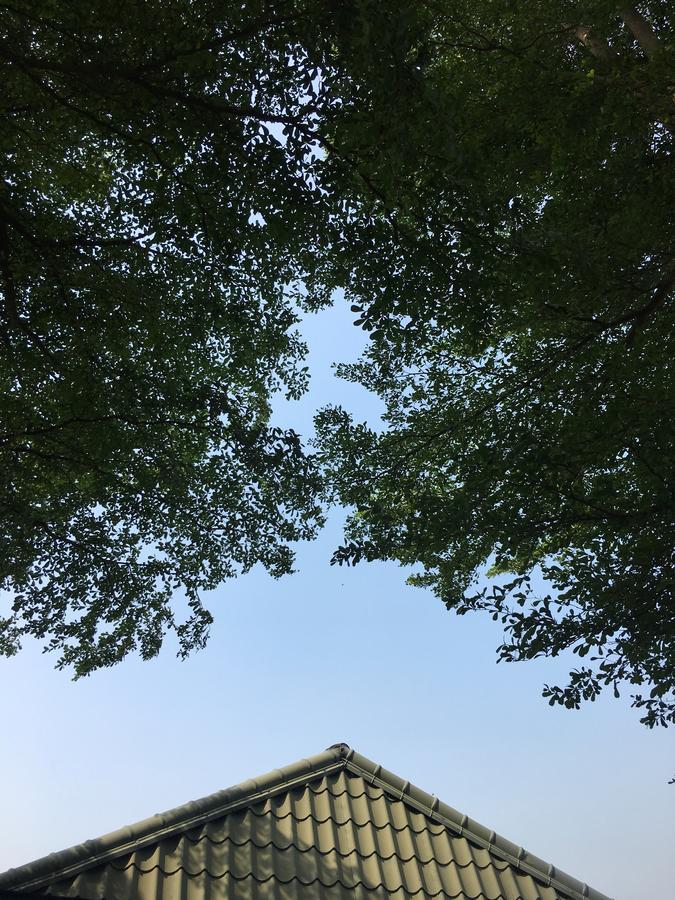 Song Youf Hostel Zhongpu 외부 사진